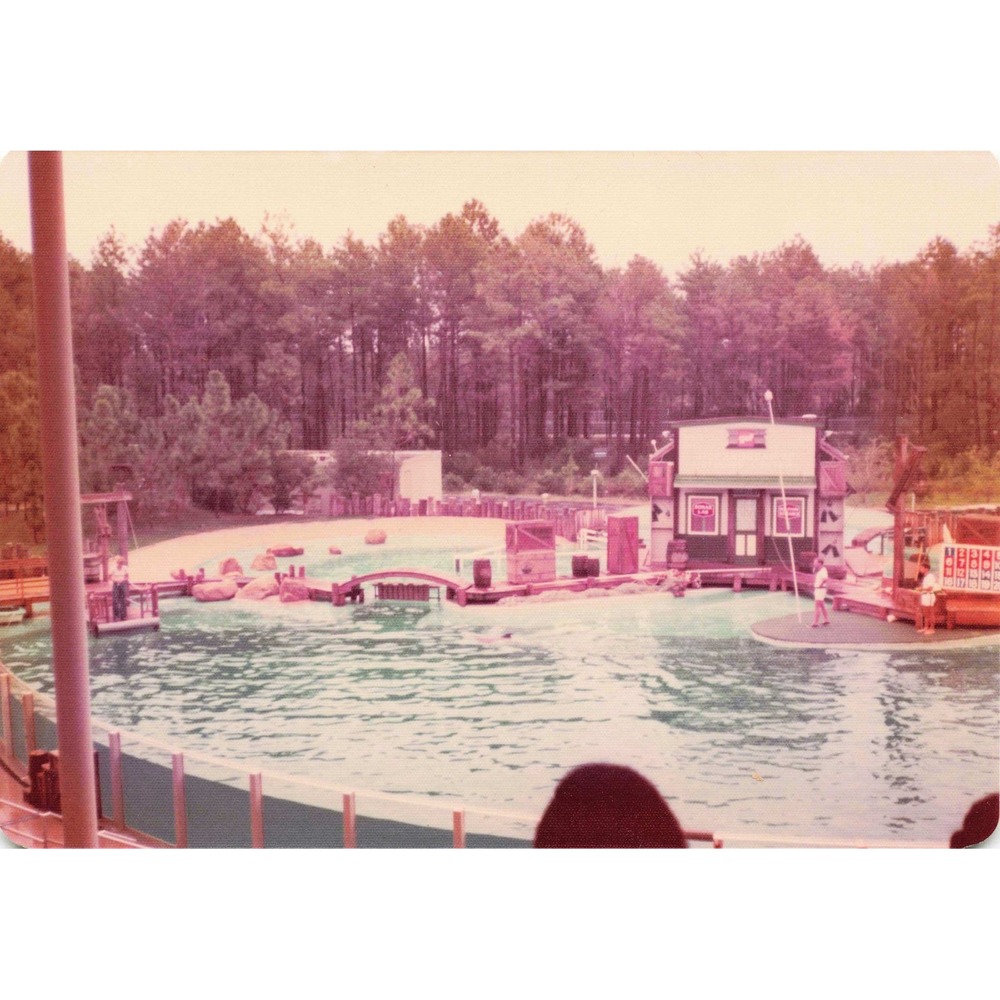 Vintage 1970s Six Flags Great Adventure Orca Water-Ski Show Photo Lot of 11 - Picture 1 of 11